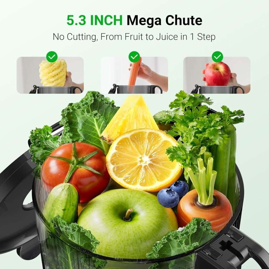 Max5 Juicer Machines,Aeitto Cold Press Juicer with 5.3“ Wide Mouth for Whole Fruits Vegetables, Professional Slow Masticating Juice Extractor, Self Feeding, Easy to Use, High Juice Yield, Dark Grey